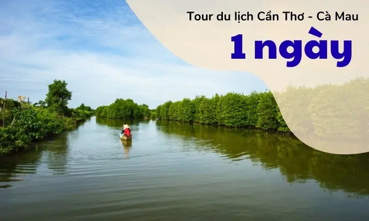 Tour Cần Thơ Cà Mau 1 Ngày 2026: Lịch Trình Chi Tiết, Giá Cả Mới Nhất & Kinh Nghiệm "chốt" Vé Không Lo