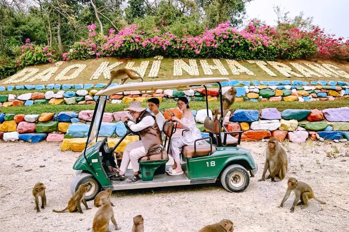 Tour Đảo Khỉ Suối Hoa Lan 2026: Trải Nghiệm Thiên Nhiên Hoang Sơ & Vui Chơi Cùng "chúa Tể" Rừng Xanh Tour Đảo Khỉ Suối Hoa Lan 2026: Trải Nghiệm Thiên Nhiên Hoang Sơ & Vui Chơi Cùng "chúa Tể" Rừng Xanh