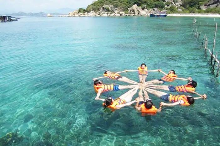 Tour Lặn Biển Cù Lao Chàm 2026: Trải Nghiệm Khám Phá "thiên Đường Dưới Đáy Biển" Trọn Vẹn Nhất