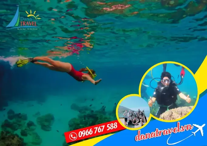 Tour Lặn Biển Cù Lao Chàm 2026: Trải Nghiệm Khám Phá "thiên Đường Dưới Đáy Biển" Trọn Vẹn Nhất