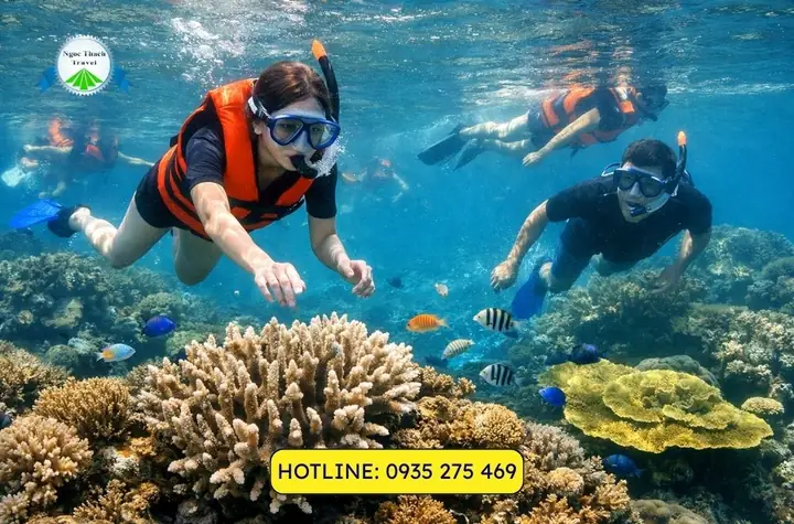 Tour Lặn Biển Cù Lao Chàm 2026: Trải Nghiệm Khám Phá "thiên Đường Dưới Đáy Biển" Trọn Vẹn Nhất