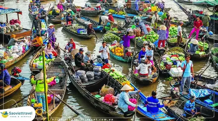 Tour Miền Tây 3 Ngày 2 Đêm Từ Hà Nội 2026: Hành Trình Khám Phá "vùng Lúa" Tận Hưởng Trọn Vẹn Văn Hóa Đồng Bằng Sông Cửu Long
