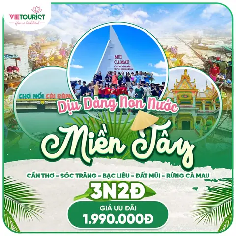 Tour Miền Tây 3 Ngày 2 Đêm Từ Hà Nội 2026: Hành Trình Khám Phá "vùng Lúa" Tận Hưởng Trọn Vẹn Văn Hóa Đồng Bằng Sông Cửu Long