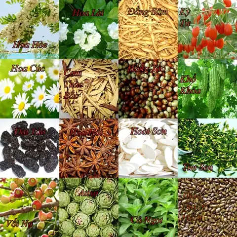 Trà Cung Đình Huế Tại Huế 2026: Hành Trình Khám Phá Hương Vị Hoàng Gia, Địa Chỉ Uy Tín & Bí Quyết Mua Sắm "chuẩn Không Cần Chỉnh"