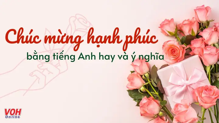 Trăm Năm Hạnh Phúc Tiếng Anh: Từ Câu Chúc Cổ Truyền Đến Biểu Tượng Văn Hóa Toàn Cầu Năm 2026