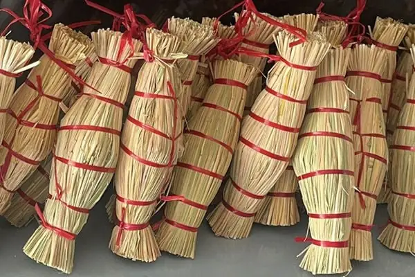 Tré Bình Định Mua Ở Đâu Năm 2026: Top 5 Địa Chỉ Uy Tín, Giá Tốt, Giao Hàng Tận Nơi Toàn Quốc