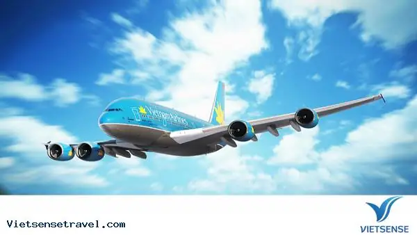 Hướng Dẫn Chi Tiết Vẽ Máy Bay Vietnam Airlines: Từ Nét Sơ Thảo Đến Kiệt Tác Nghệ Thuật Số Năm 2026