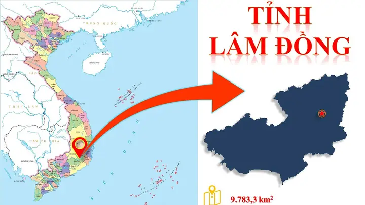 Vị Trí Địa Lý Lâm Đồng 2026: Phân Tích Sâu Về "ngôi Hạt Ngọc" Trên Cao Nguyên Địa Chiến Lược