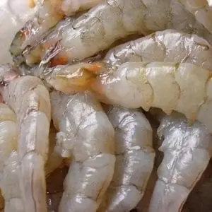 Vựa Hải Sản Thanh Tuấn Thịnh: Địa Chỉ "thánh Thức" Hải Sản Tươi Sống, Giá Hạt Dẻ Tại Quảng Ninh Năm 2026