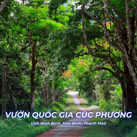 Vườn Quốc Gia Yok Đôn: "ngọc Bích" Rừng Xà Cừ Lớn Nhất Việt Nam Năm 2026 – Toàn Tap Thông Tin, Trải Nghiệm Và Hướng Dẫn Du Lịch Chi Tiết