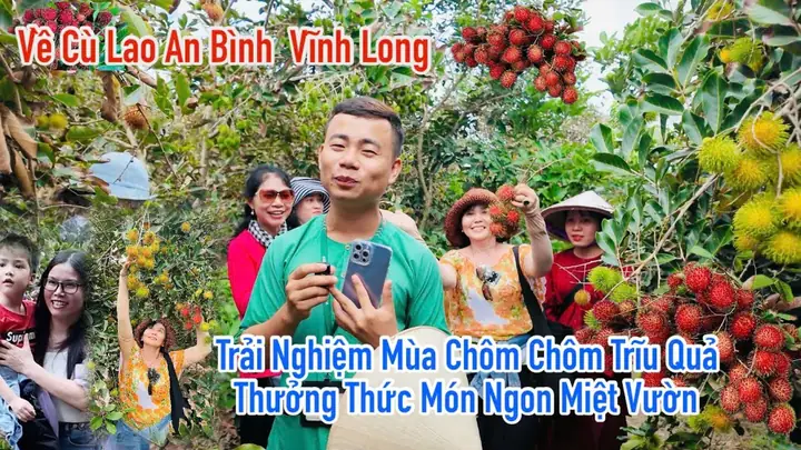 Vườn Trái Cây Cù Lao An Bình 2026: Hành Trình Khám Phá "viên Ngọc" Giữa Dòng Sông Hậu, Trải Nghiệm Hái Trái Cây Tự Do Và Ăn Đặc Sản Vùng Đồng Bằng Sông Cửu Long