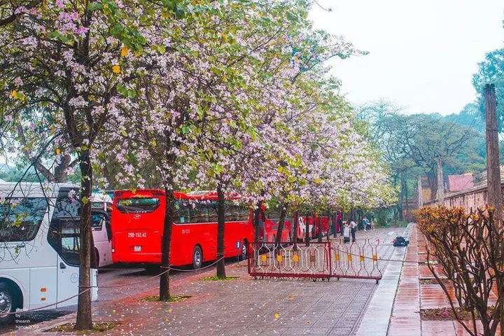 Thời Tiết Hà Nội Tháng 3 Năm 2026: Hướng Dẫn Chi Tiết, Mẹo Du Lịch & Trang Phục Chuẩn Không Cần Chỉnh