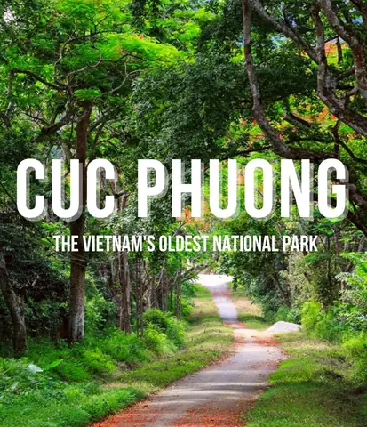 Where Is Cuc Phuong National Park? Hướng Dẫn Chi Tiết Vị Trí, Cách Đi & Trải Nghiệm Toàn Diện 2026