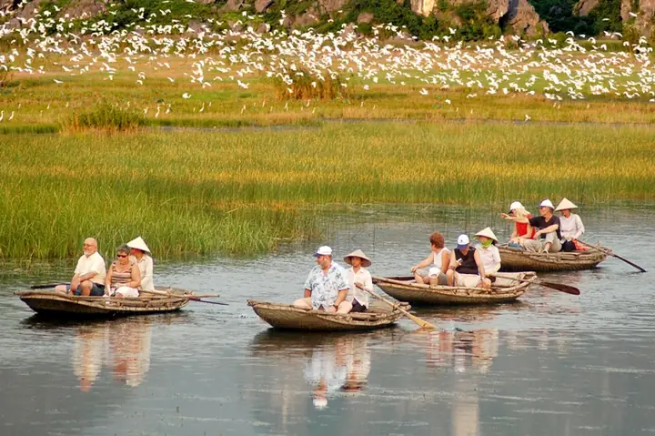 Where Is Cuc Phuong National Park? Hướng Dẫn Chi Tiết Vị Trí, Cách Đi & Trải Nghiệm Toàn Diện 2026
