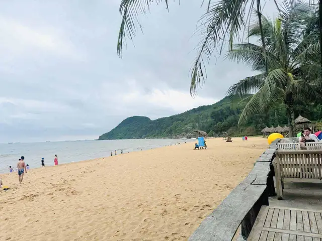 Xe Khách Đi Bãi Đông Thanh Hóa 2026: Hướng Dẫn Chi Tiết Lịch Trình, Giá Vé, Đặt Chỗ & Trải Nghiệm Mới Nhất