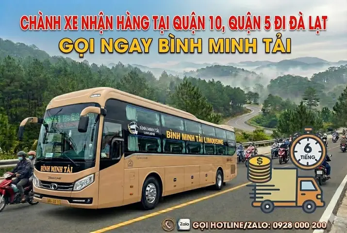 Trải Nghiệm Đi Đà Lạt Bằng Xe Tam Quan 2026: Hành Trình "chữa Lành" Độc Đáo, Giá Cả & Mẹo Bắt Xe Chuẩn Không Cần Chỉnh