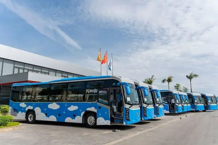 Trải Nghiệm Đi Đà Lạt Bằng Xe Tam Quan 2026: Hành Trình "chữa Lành" Độc Đáo, Giá Cả & Mẹo Bắt Xe Chuẩn Không Cần Chỉnh