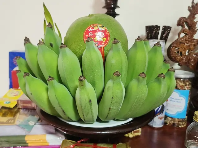 Ý Nghĩa Chưng Chuối Ngày Tết: Vạn Sự Như Ý, Sung Túc An Khang – Trọn Vẹn Văn Hóa Truyền Thống Năm 2026
